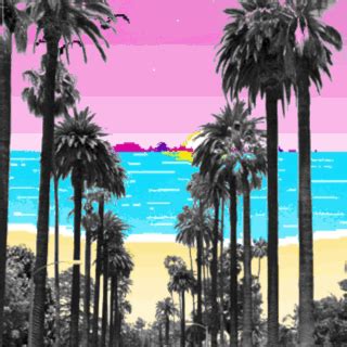California Palm Trees Summer  On Er By Starconjuror