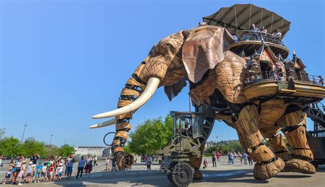 Que faire en voyage à Nantes activités familiales Crokodeal