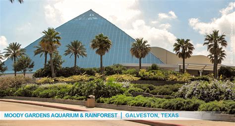 specialty-services-educational-moody-gardens-aquarium-and-rainforest-galveston-texas-1 | Western ...