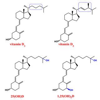 Multi Level Regulation Of Vitamin D And Integrated Pathways With