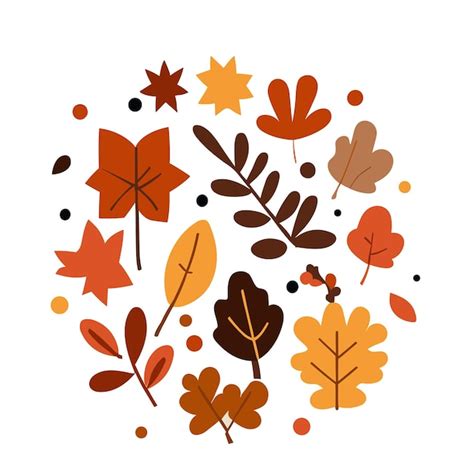 Premium Vector Handdrawn Vector Autumn Leaves Set Handdrawn Illustration