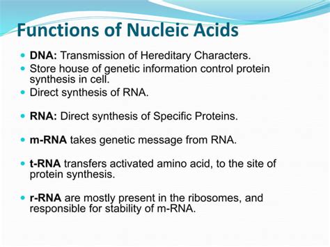 Nucleic Acid Protein Structure And Functions Ppt