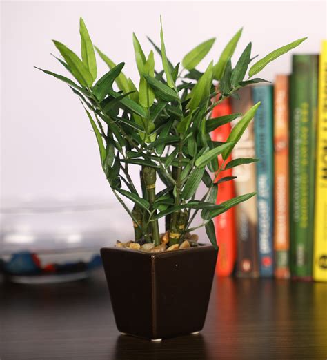 Buy Polyester Green Bamboo Bonsai With Ceramic Pot Artificial Plants At