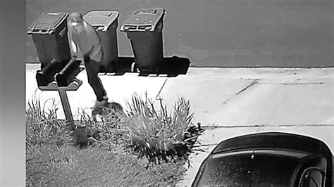 Thief Grabs Mail Ballots From North County Neighborhood Fox 5 San