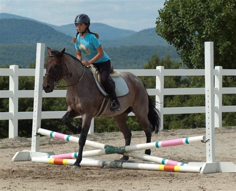 Photos of Horseback Riding Lessons - High Meadows Farms