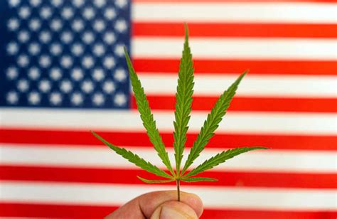 Over Half Of U S In States With Legal Recreational Cannabis