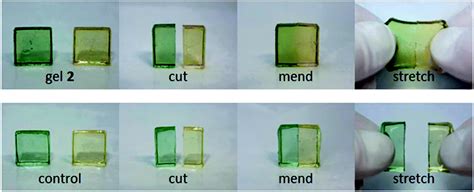 Dynamers Dynamic Polymers As Self Healing Materials Chemical Society