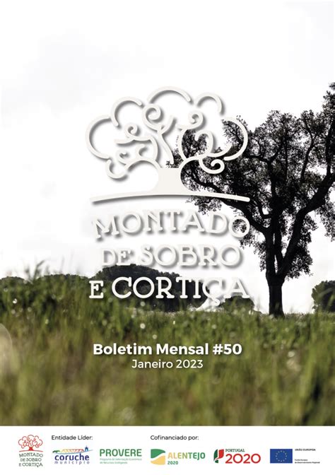 BOLETIM MENSAL 50 JÁ DISPONÍVEL Montado de Sobro e Cortiça