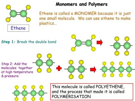 Ppt Monomers And Polymers Powerpoint Presentation Free Download Id