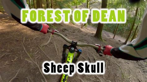 Downhill MTB Nukeproof Pulse Forest Of Dean Sheep Skull YouTube