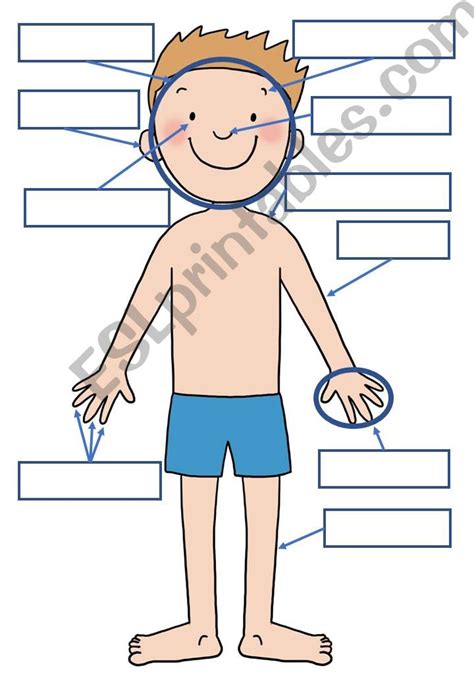 Esl English Powerpoints Simple Body Parts Handout