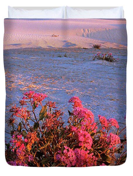 Sand Verbenas At Sunset White Sands National Monument Photograph By