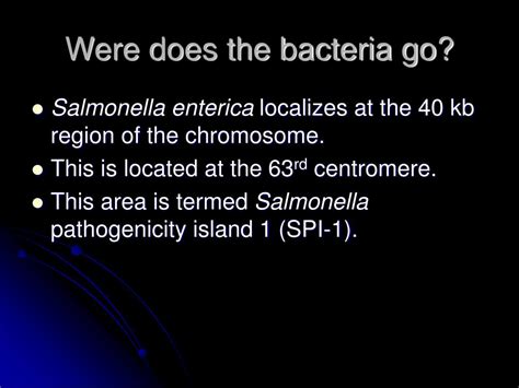 PPT Regulation Of Salmonella Enterica By Laurel Kovach PowerPoint