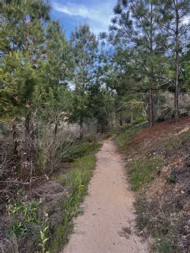 Best Moderate Trails in Bastrop State Park | AllTrails