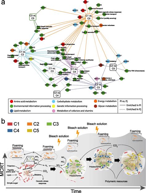 Comparative Genomic Analysis A Pairwise Comparison Of Enriched Download Scientific Diagram