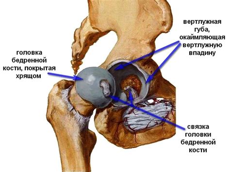 Как лечить или убрать боль в тазобедренном суставе