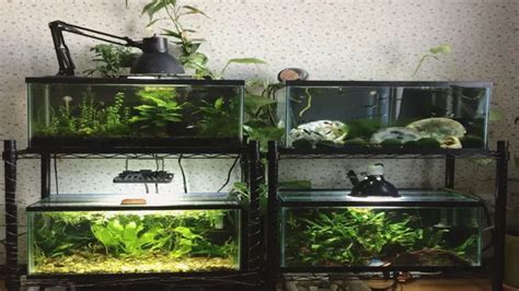 How to Build a Shelf to Hold Aquariums: Step-by-Step Guide for Strong ...