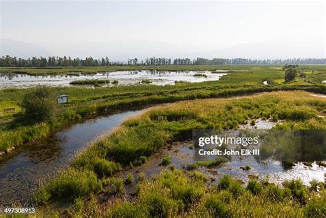 Creston Valley Wildlife Management Area Photos and Premium High Res Pictures - Getty Images