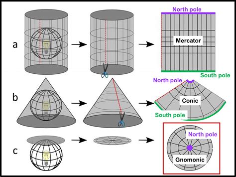 Solved On What Type Of Projection The Poles Are Represented As