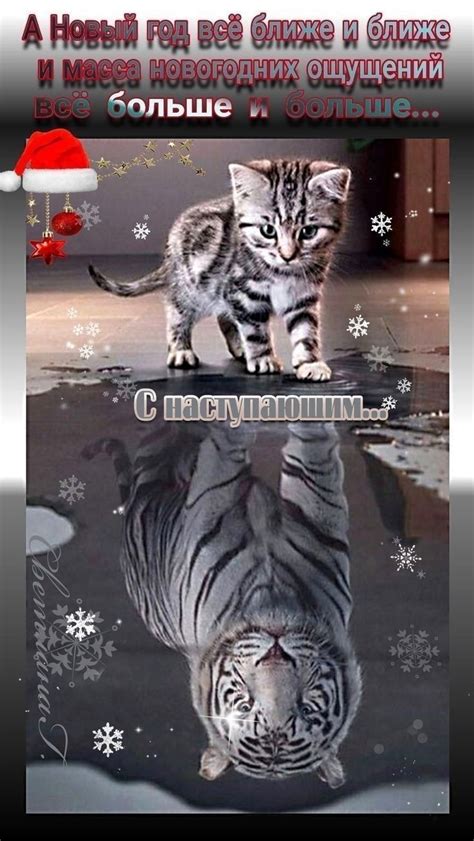 Pin van Елена Ковалюк op Разное