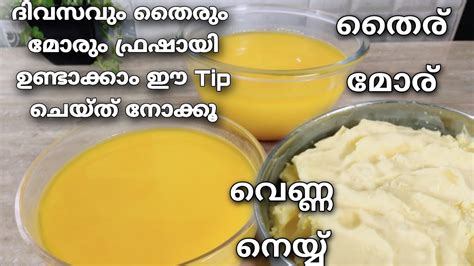 Homemade Ghee Recipebutter Recipecurd Recipebuttermilk Recipemore