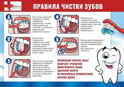 Как правильно чистить зубы