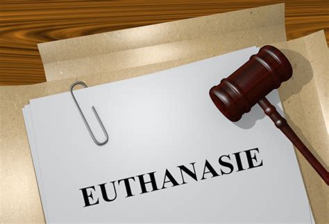 12 6 d euthanasie de plus en Belgique l année dernière en particulier