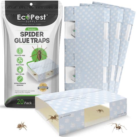 Buy Spider Trap — 20 Pack Sticky Indoor Glue Traps For Spiders And