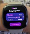 Fitbit Sense Advanced Health Smartwatch Pale Gold Fb Glbm Us Best Buy