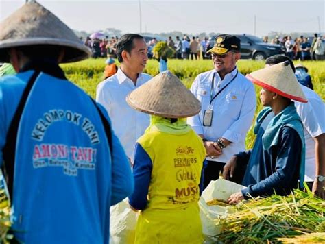 Kabupaten Indramayu Turut Jadi Bagian Panen Padi Nusantara Juta