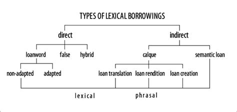 Types Of Lexical Borrowing Download Scientific Diagram