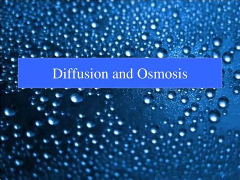 Ppt Diffusion And Osmosis Powerpoint Presentation Free Download Id 1712241