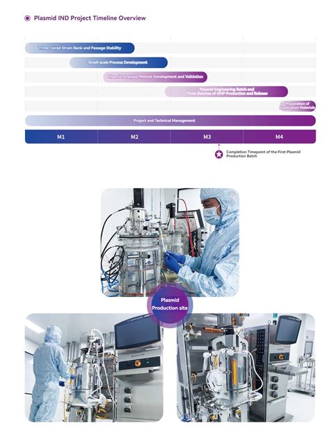 Plasmid Cdmo Service Lotuslake Biomedical