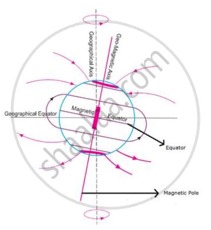 Draw neat diagram, label them and explain. Magnetic pole and equator ...