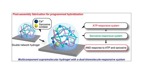 Post Assembly Fabrication Of A Functional Multicomponent Supramolecular