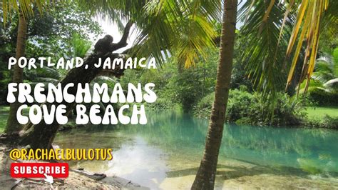 Jamaicas Frenchmans Cove YouTube