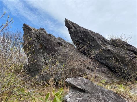 種山ケ原森林公園散策 スティーブさんの物見山（種山）の活動日記 Yamap ヤマップ