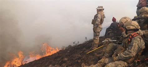 Abt Inicia 31 Procesos Contra Posibles Autores De Incendios En El País