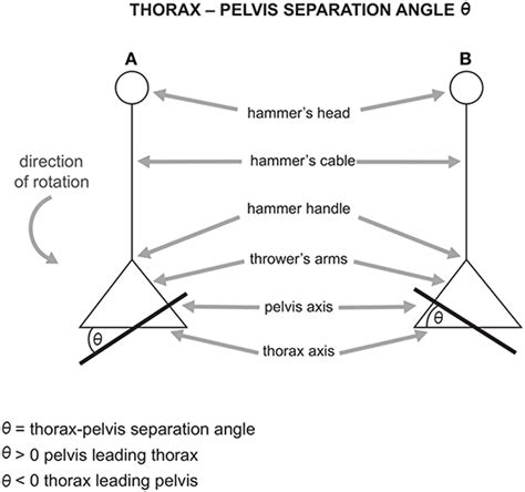 Frontiers Biomechanics Of The Hammer Throw Narrative Review