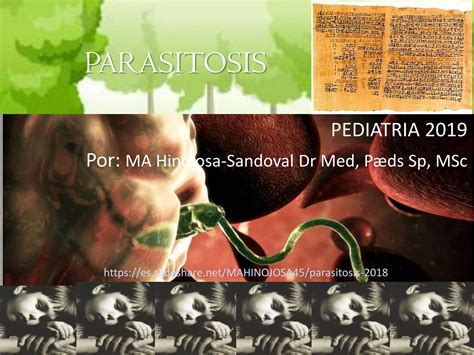 Parasitosis 2019 Ppt Descarga Gratuita