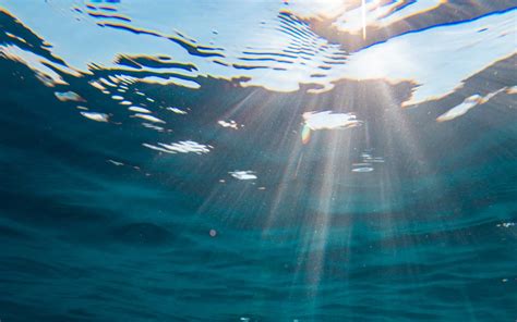 More water woes – destroyed habitats - The Coromandel Informer