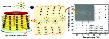 Magnetic Field Oriented Ferroferric Oxide Poly Dimethyl