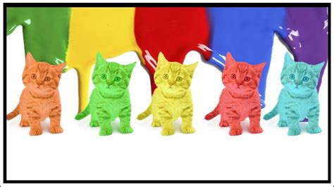 Gatos De Colores Aprendiendo Colores Con Forma De Gato Videos Para