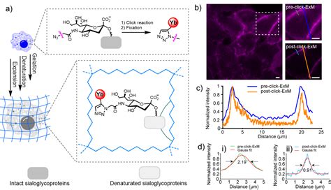 张俊龙课题组、陈兴课题组与合作者报道新型生物正交的稀土分子探针用于近红外荧光质谱成像科研进展北京大学化学与分子工程学院