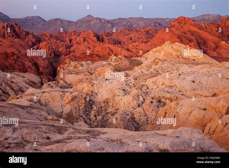 Red And White Aztec Sandstone In Fire Canyon Before Sunrise In Valley Of Fire State Park In