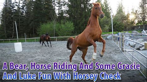 A Bear Horse Riding And Some Gracie And Luke Fun All With Horsey Check