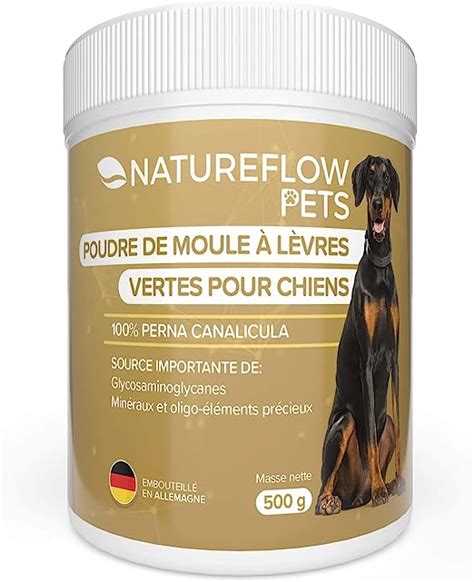 Poudre De Moule L Vres Vertes Pour Chiens G De Moules L Vres