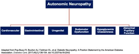 Autonomic Diabetic Neuropathies A Brief Overview Diabetes Research