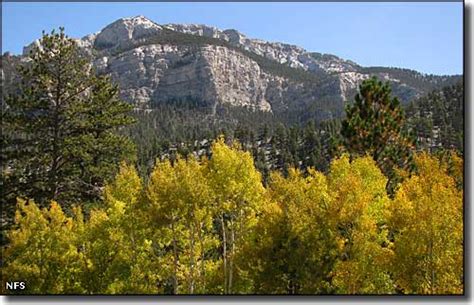 Mount Charleston Scenic Byway