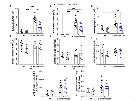 Alcohol Fed Mice Have Decreased Neutrophil And Macrophage Infiltration